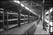 Auschwitz Birkenau