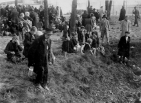Auschwitz Birkenau