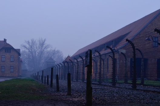 Auschwitz Birkenau