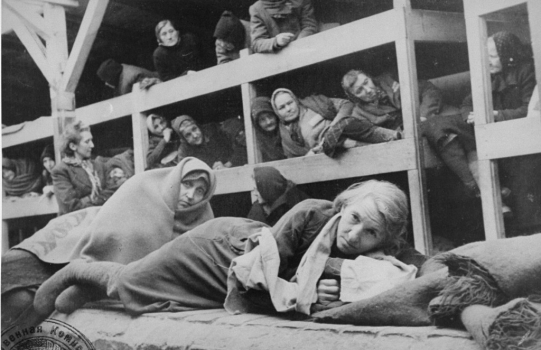 Auschwitz Birkenau
