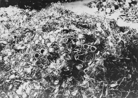 Auschwitz Birkenau