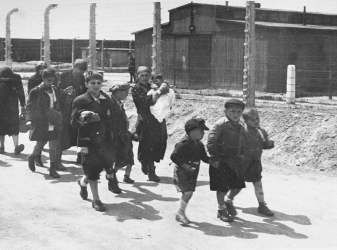 Auschwitz Birkenau